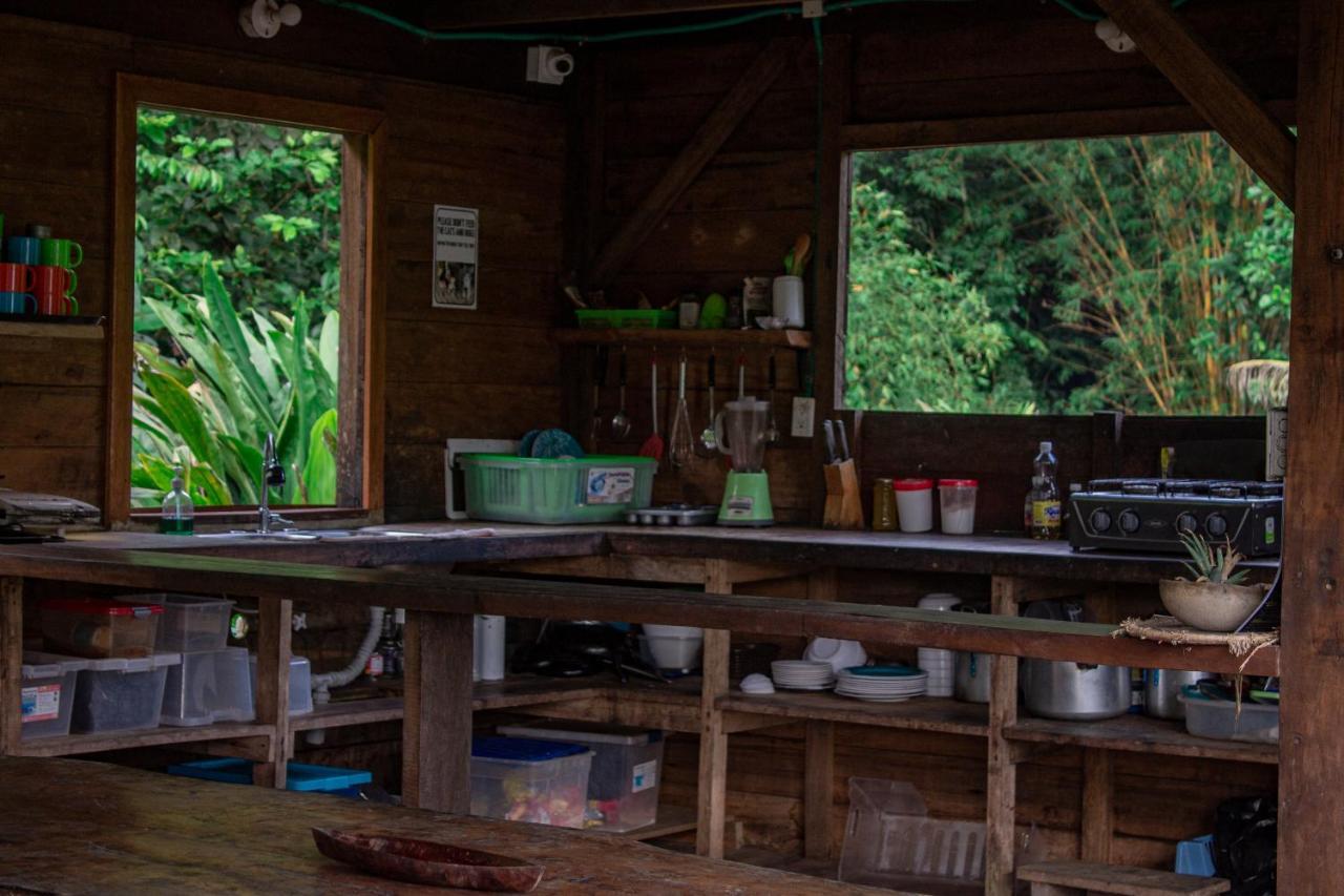 The Pelican House Hostel Эль-Валье Экстерьер фото