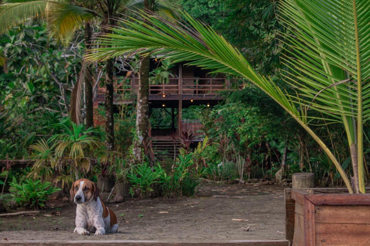 The Pelican House Hostel Эль-Валье Экстерьер фото